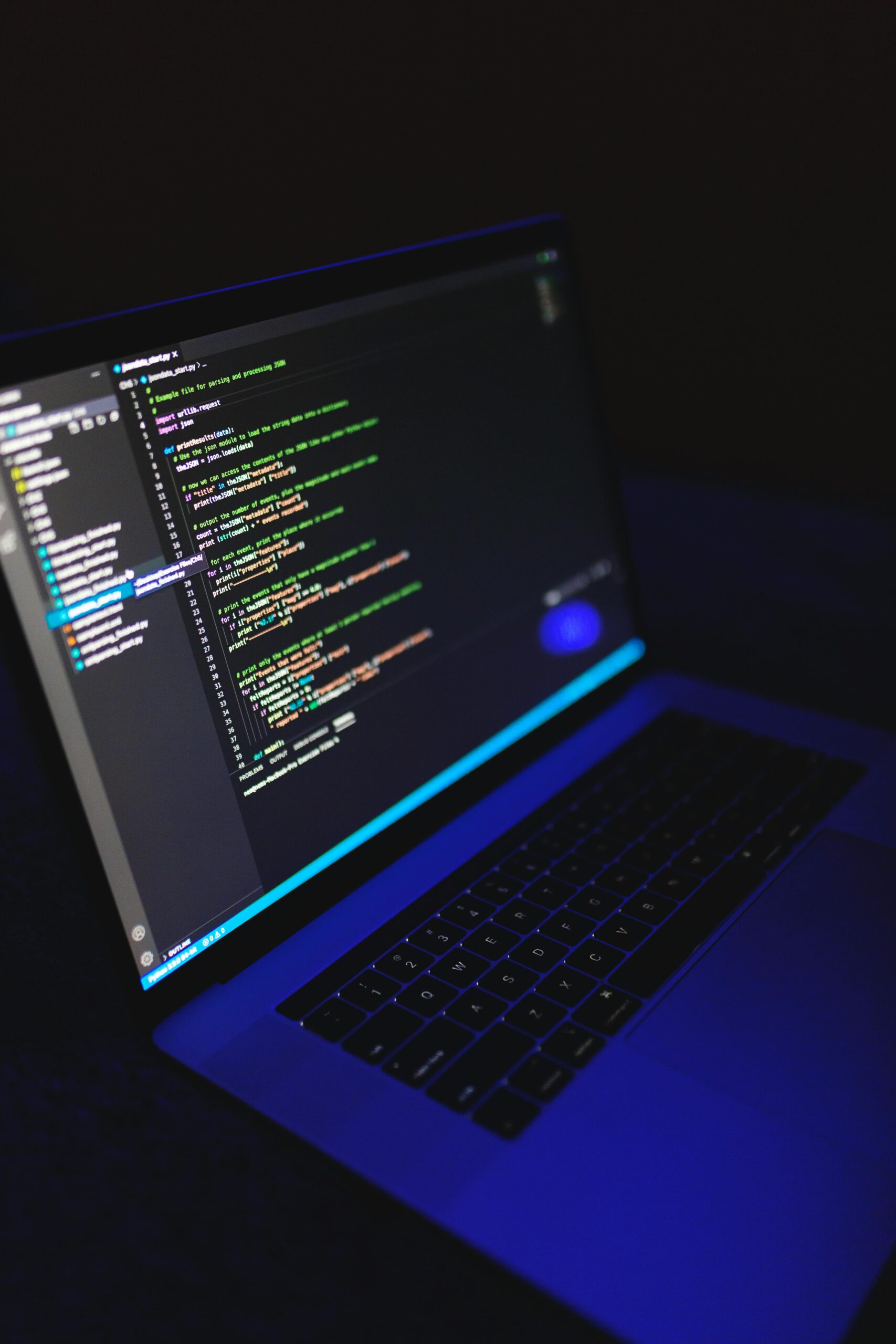Website Programming BG
