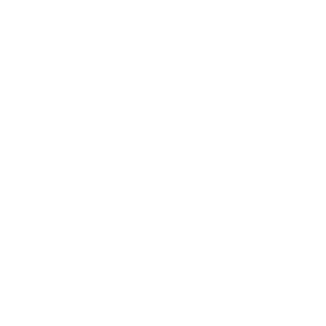 Website Maintenance icon